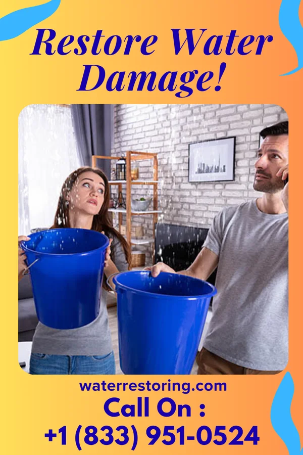 water restoration Platinum Extraction Specialists Van Horne